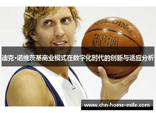 迪克·诺维茨基商业模式在数字化时代的创新与适应分析