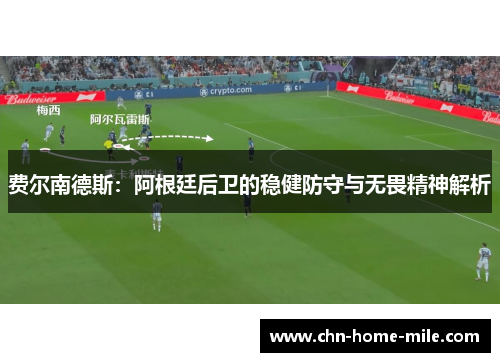 费尔南德斯：阿根廷后卫的稳健防守与无畏精神解析
