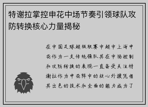 特谢拉掌控申花中场节奏引领球队攻防转换核心力量揭秘